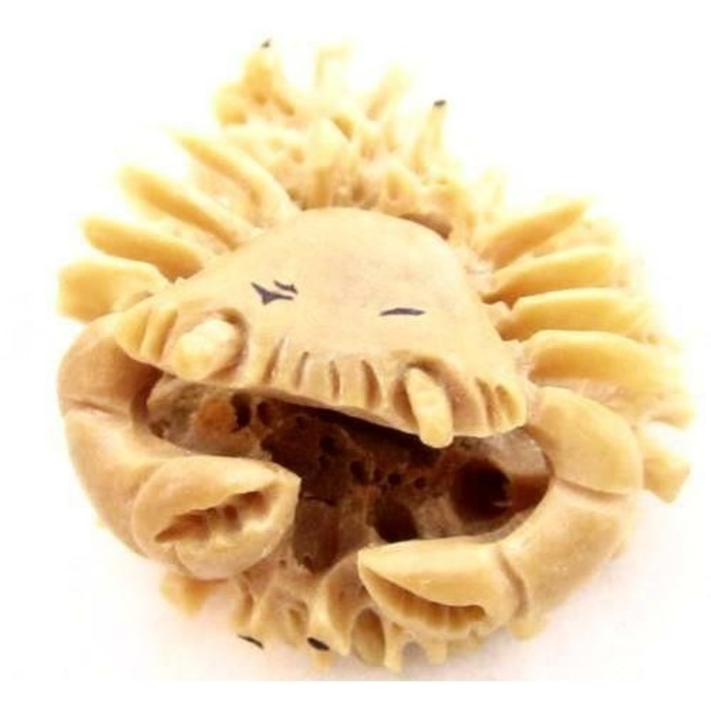 Vintage Beautifully Carved Detail Vegetable Tagua Nut‎ Crab Marine Figurine